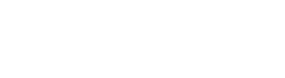 Livizit Logo